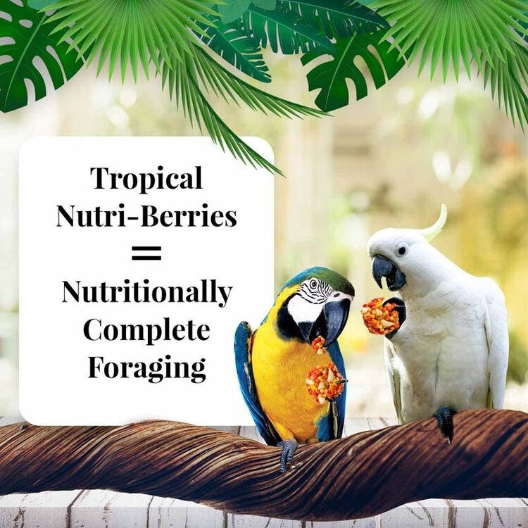 Lafeber's Lafeber Nutri-Berries Tropical Fruit Macaw & Cockatoo (10oz)
