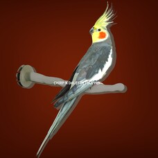 K&H Pet K&H Thermo-Perch  Small 1" x 10.5