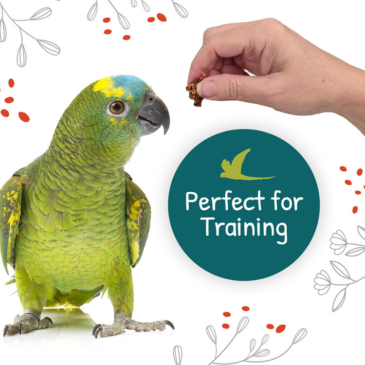 Hari Little Foragers Chili Snaps 125g