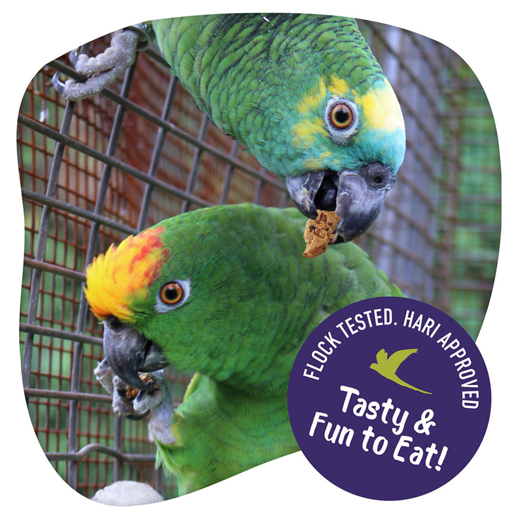 Hari Little Foragers Chili Snaps 125g