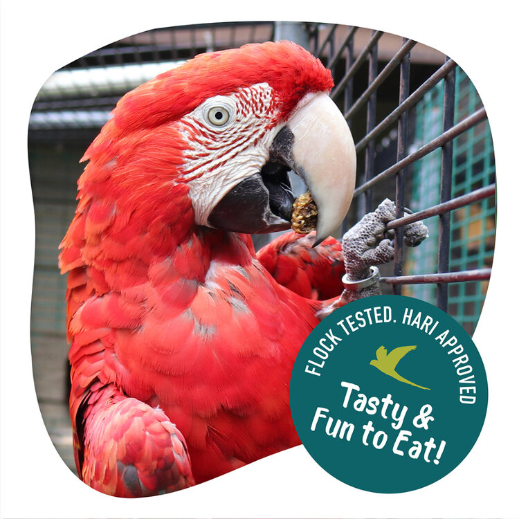 Hari Little Foragers Chili Snaps 125g