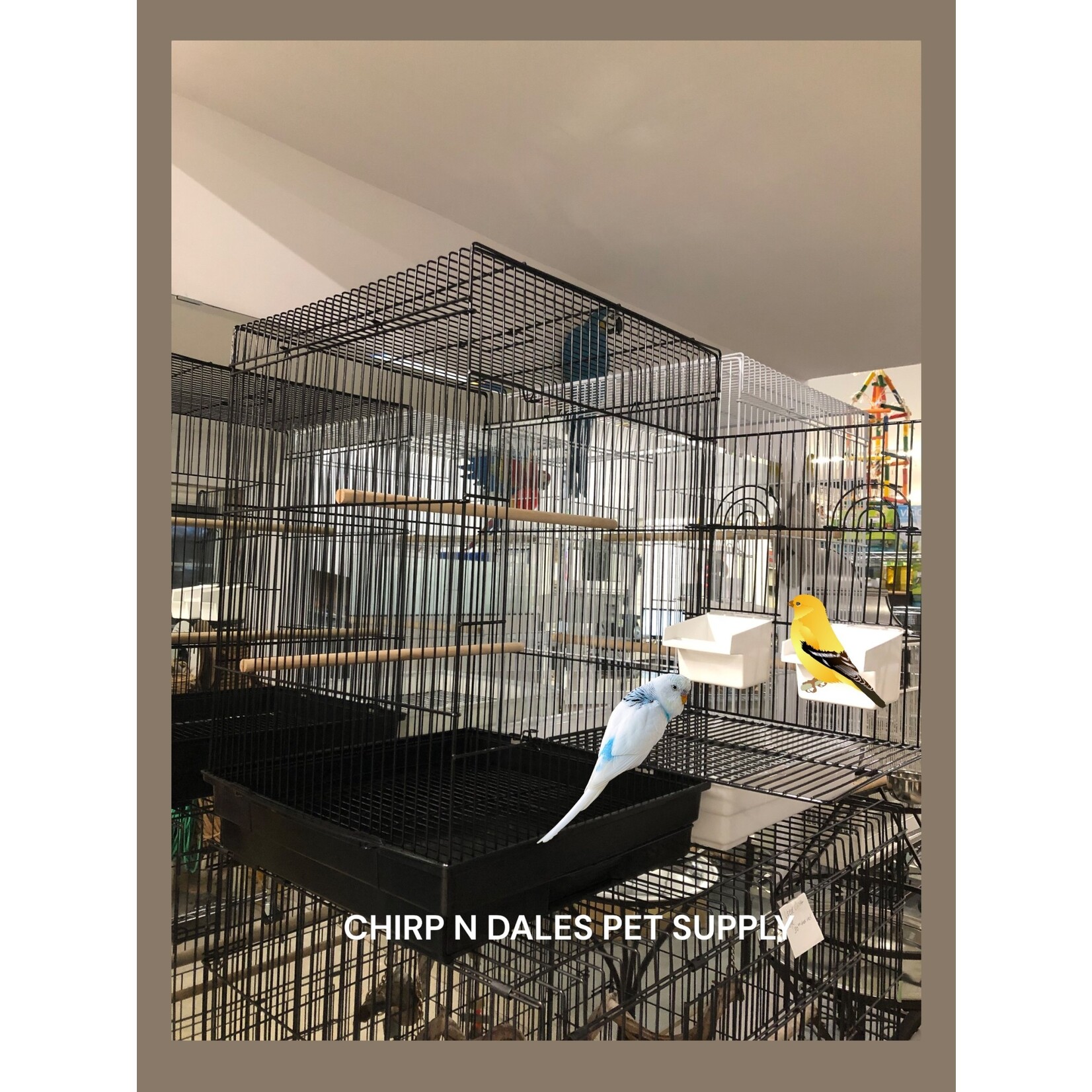 Glitter Pets Glitter Pet Square Cage C/W Extra Sitting Platform 17"x17" Black