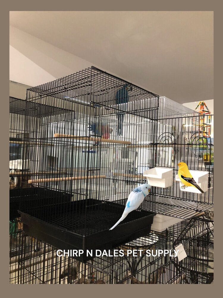 Glitter Pets Glitter Pet Square Cage C/W Extra Sitting Platform 17"x17" Black