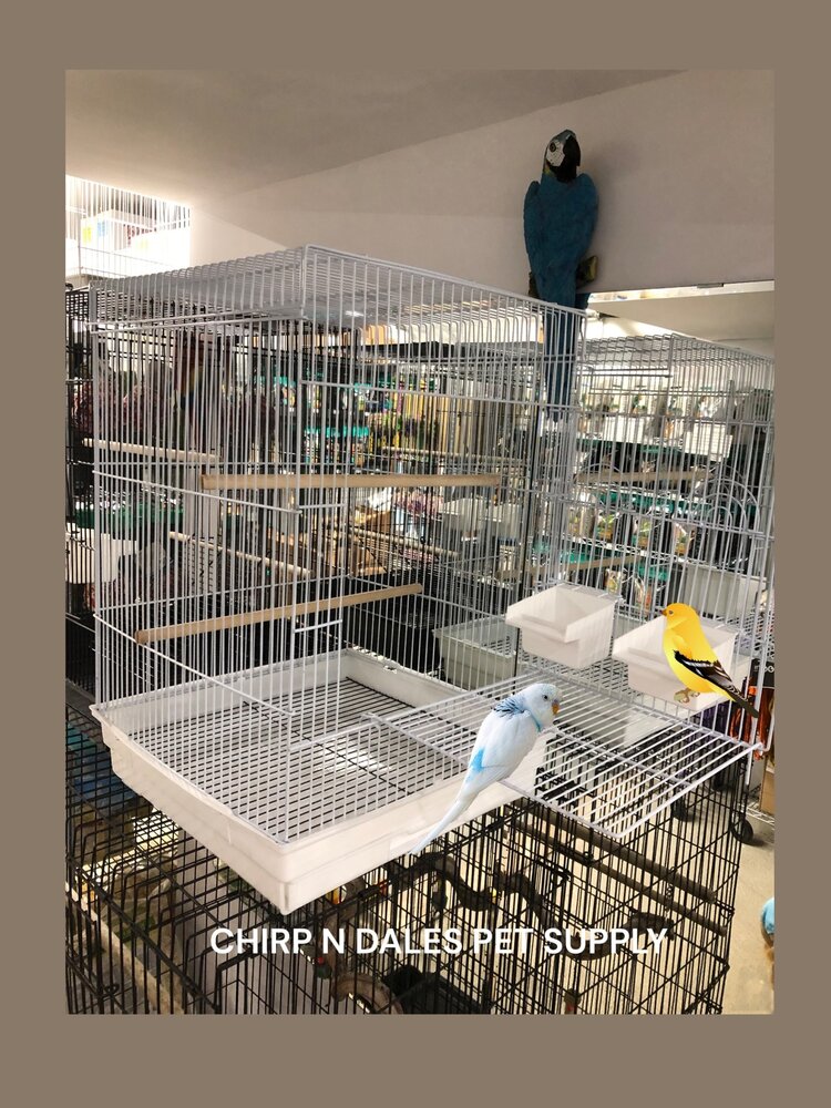 Glitter Pets Glitter Pet Square Cage C/W Extra Sitting Platform 17"x 17" White