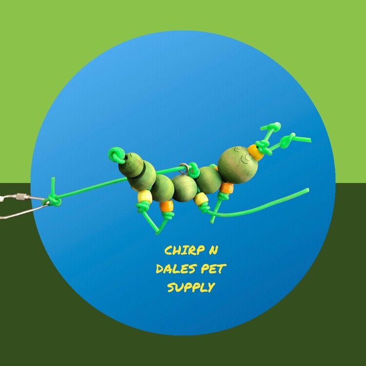 Happy Beaks Happy Beaks Worm