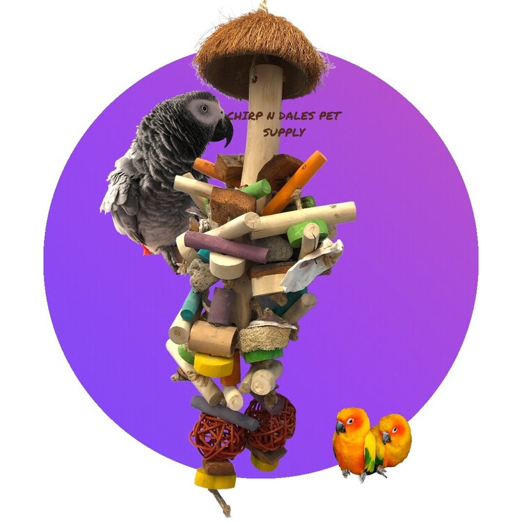 Kings Cages Kings Cages JAVA BUSH COCONUT PUMICE MD K609