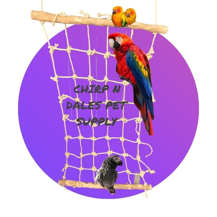 Kings Cages KINGS CAGES LARGE JAVA WOOD & NATURAL SISAL PARROT CLIMBING NET 38.58" X 23.62" – T096