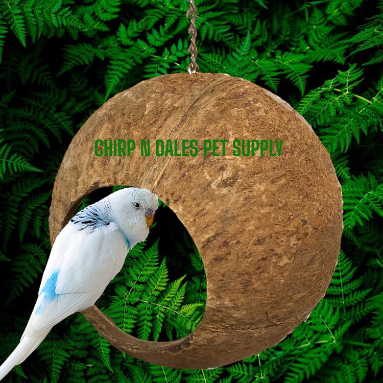 Bonkers Bonkers  COCO HIDEOUT