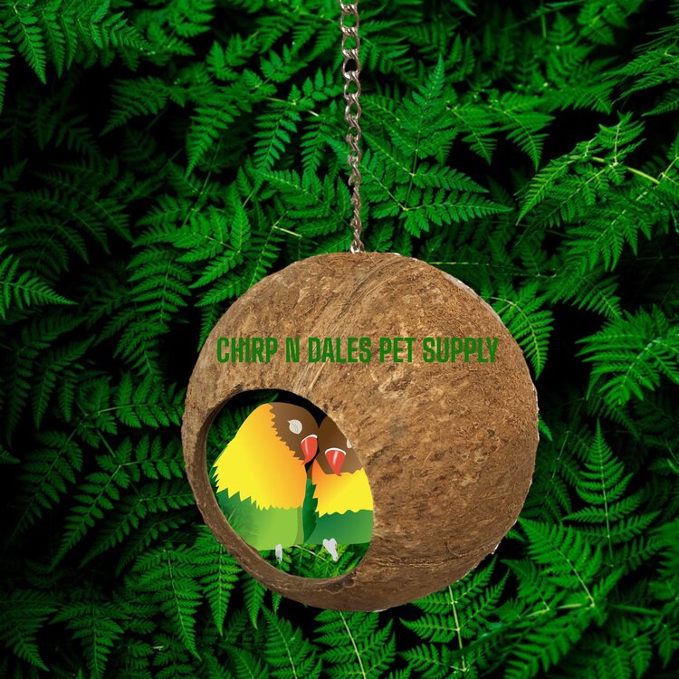 Bonkers Bonkers  COCO HIDEOUT