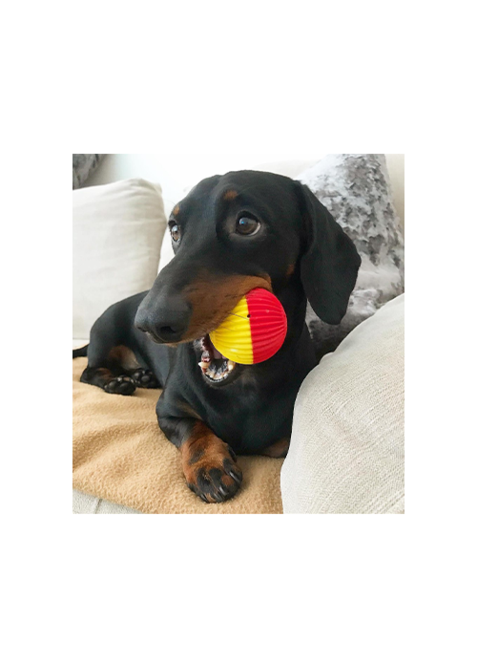 Pet Qwerks PQ \ Animal Sounds Babble Ball \ Small