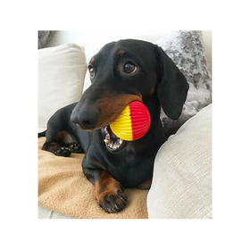 Pet Qwerks PQ \ Animal Sounds Babble Ball \ Small