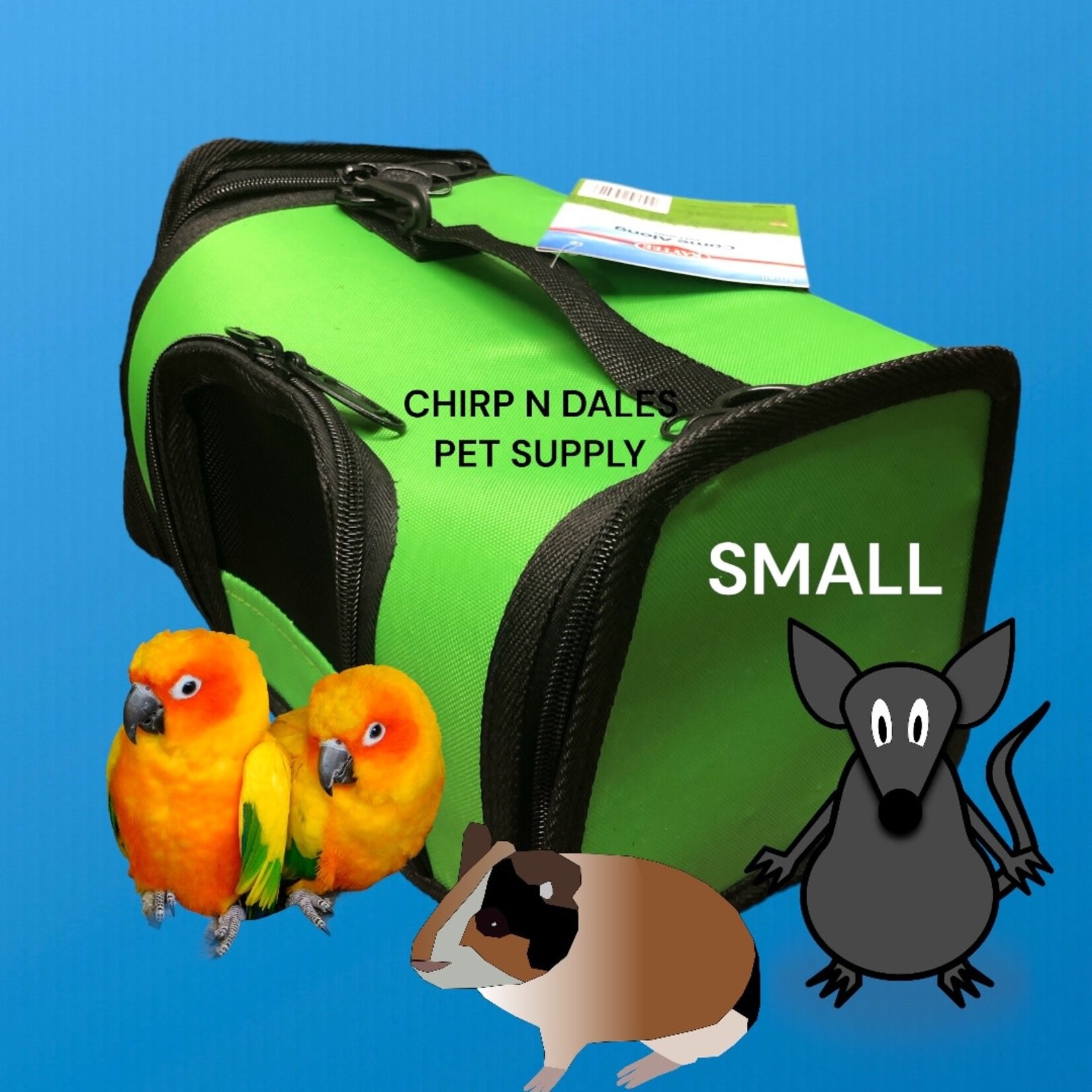 Kaytee KAYTEE \ Come Along Carrier \ Small