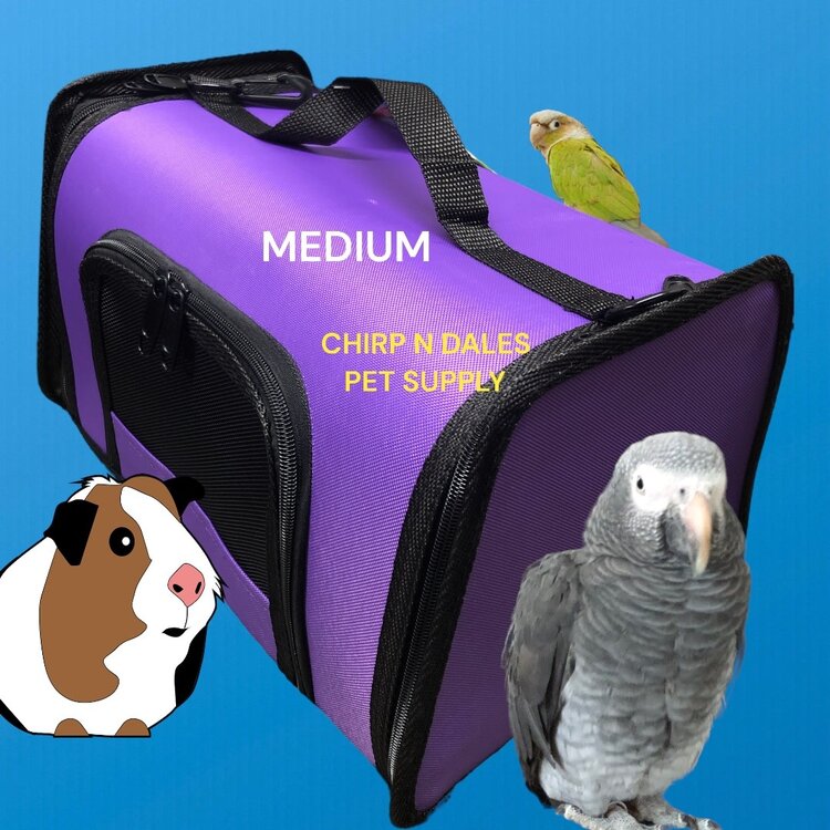 Kaytee KAYTEE \ Come Along Carrier \ Medium