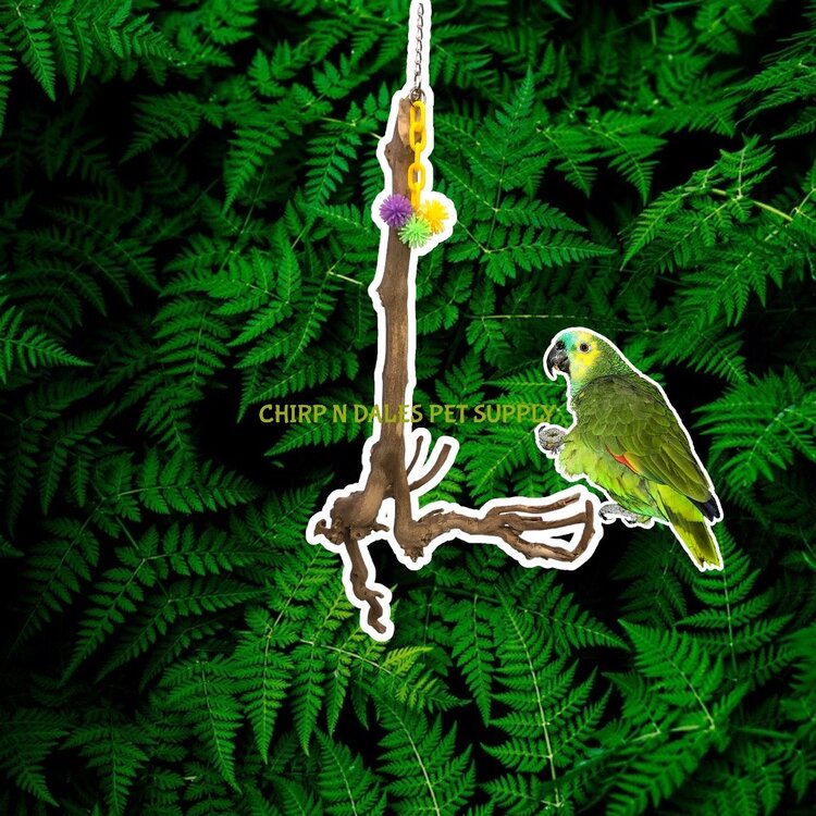 Bonkers Bonkers Hanging Grapewood Swing Medium, Assorted Shapes