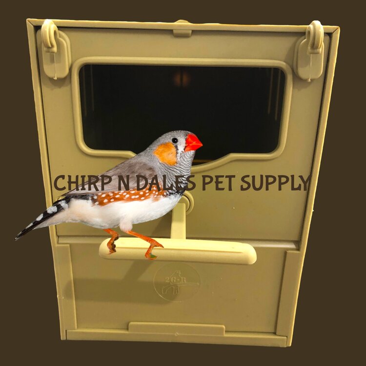 Finch Plastic Nest Box Green