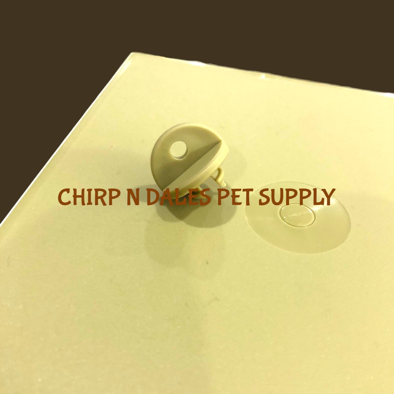 Finch Plastic Nest Box Green