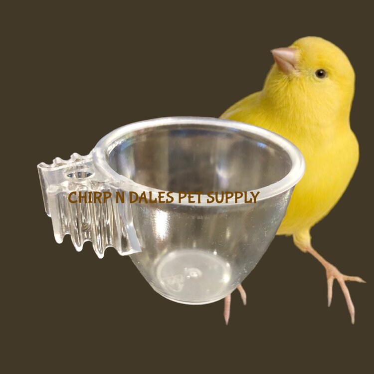 Plastic Treat Cup/Egg Holder