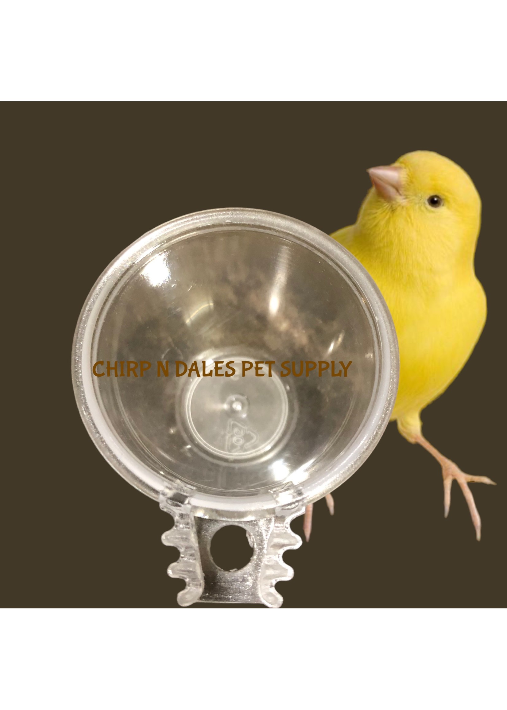 Plastic Treat Cup/Egg Holder