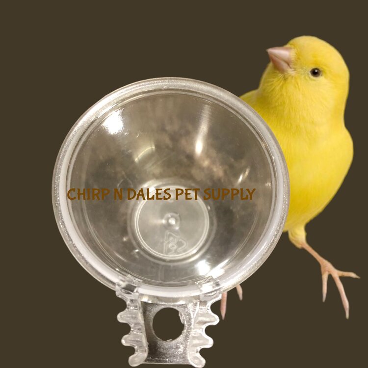 Plastic Treat Cup/Egg Holder