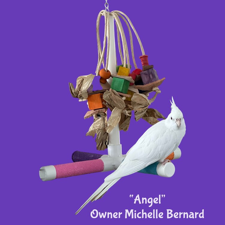 Kings Cages Kings Cages Swinging PVC Pipe  Perch  with Paper Rope