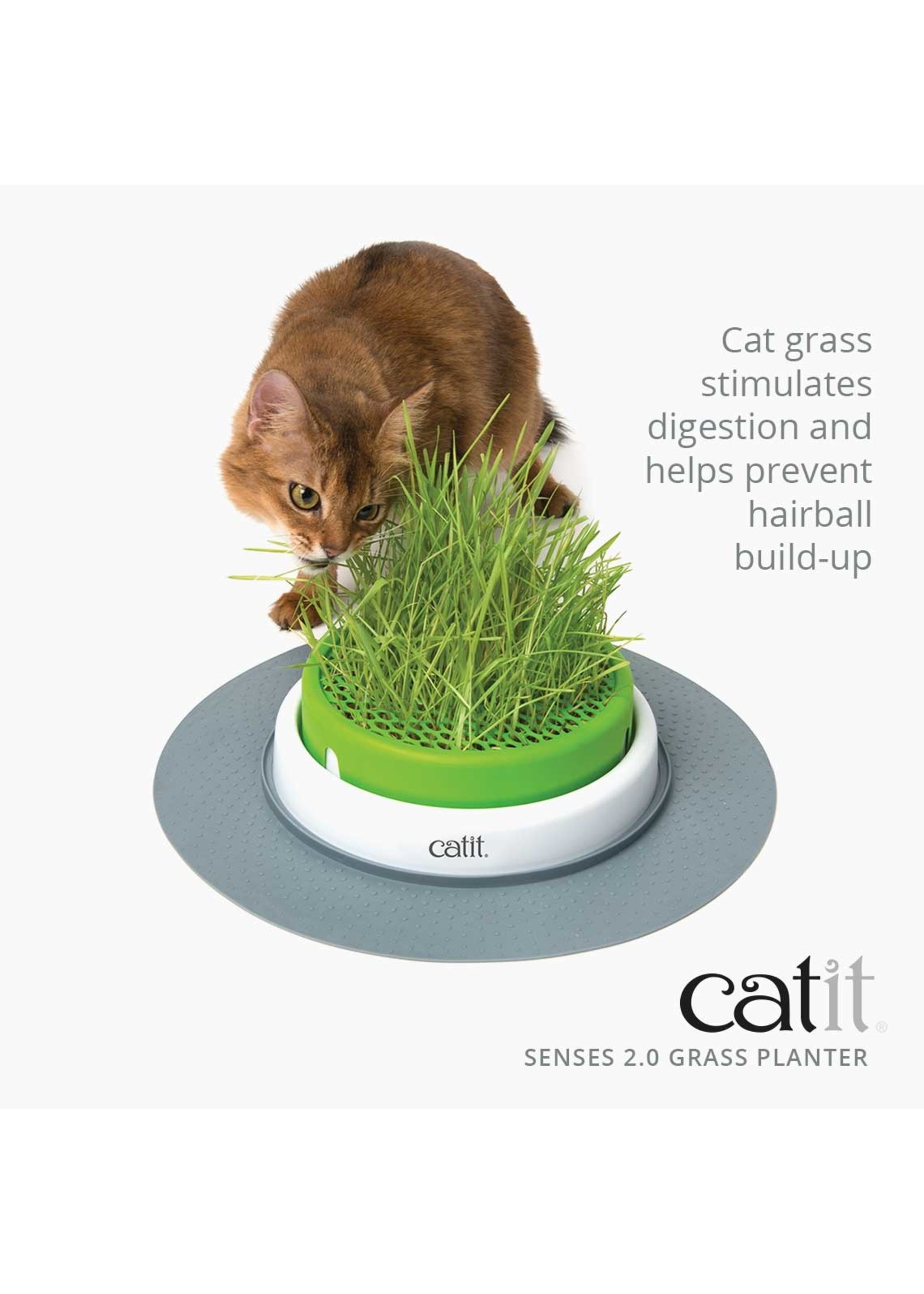 Catit Catit Cat Grass Kit, set of 3