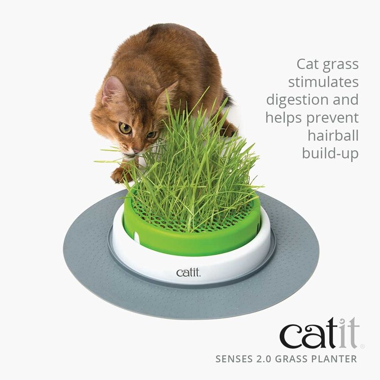 Catit Catit Cat Grass Kit, set of 3