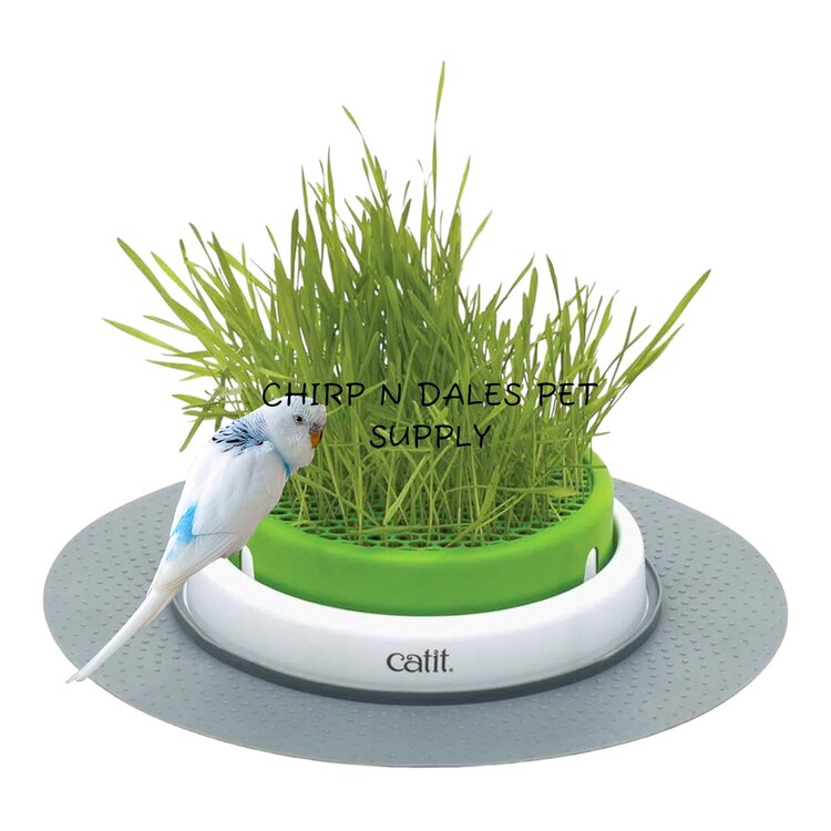 Catit Catit Senses 2.0 Grass Planter