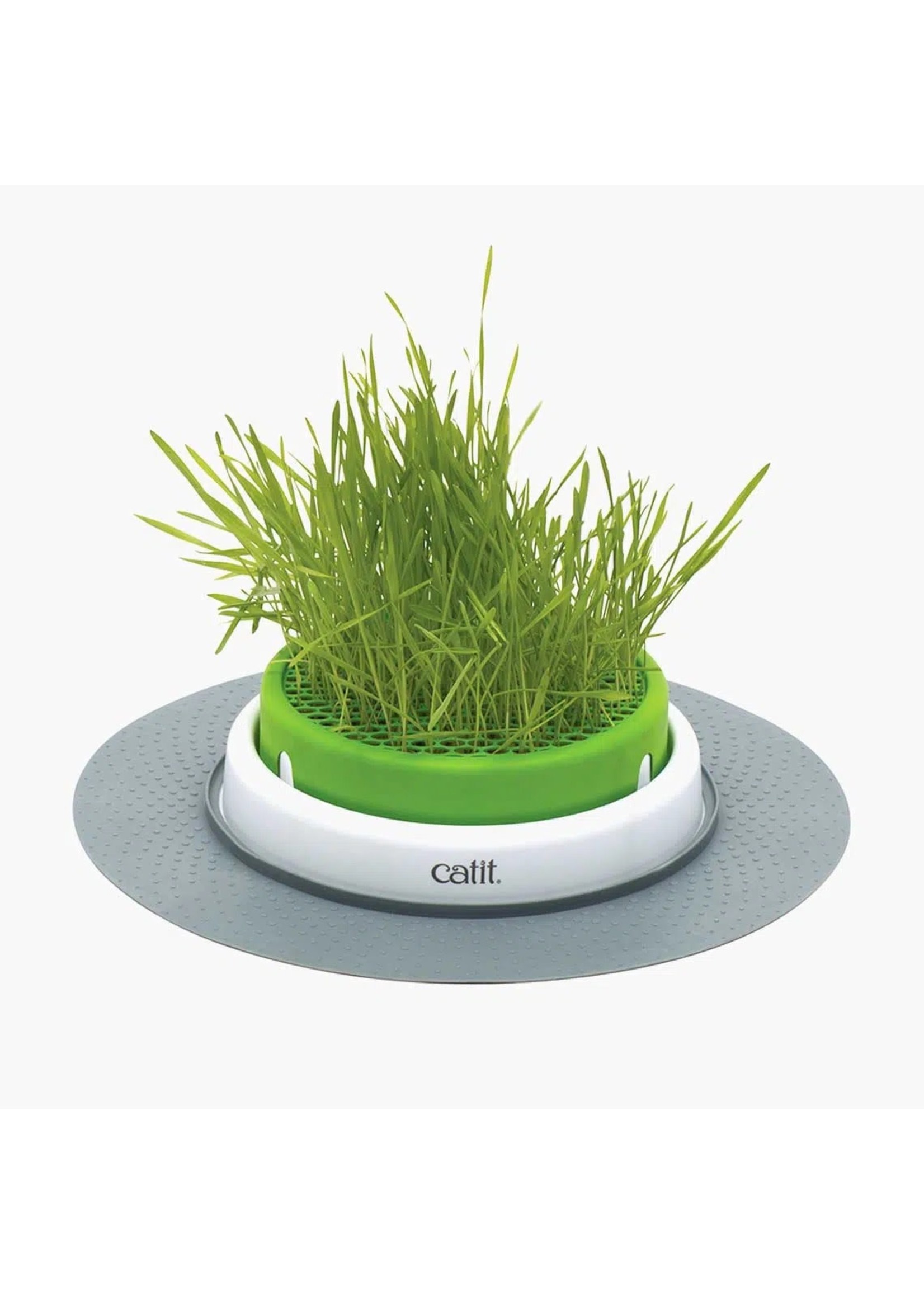 Catit Catit Cat Grass Kit, set of 3