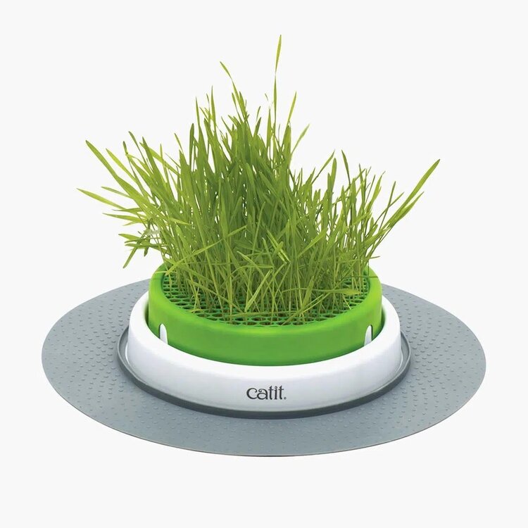 Catit Catit Cat Grass Kit, set of 3