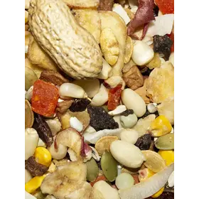 Volkmans Volkmans Parrot Treat (1LB) 181