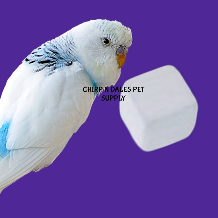 Broody Bird Broody Bird Calcium Block Small