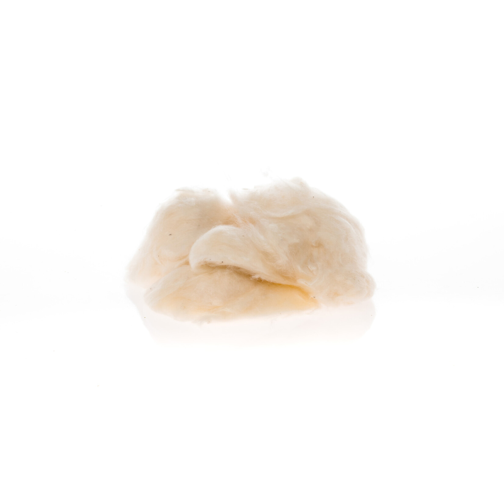 Kaytee KAYTEE \ Kapok All Natural Nesting Material 35g