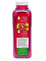 Perky Pet Perkys Pet Liquid Nectar Concentrate Red Bird 16oz