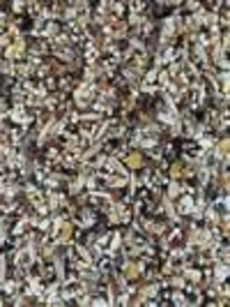 Goldenfeast Goldenfeast PATAGONIAN BLEND 1.36kg