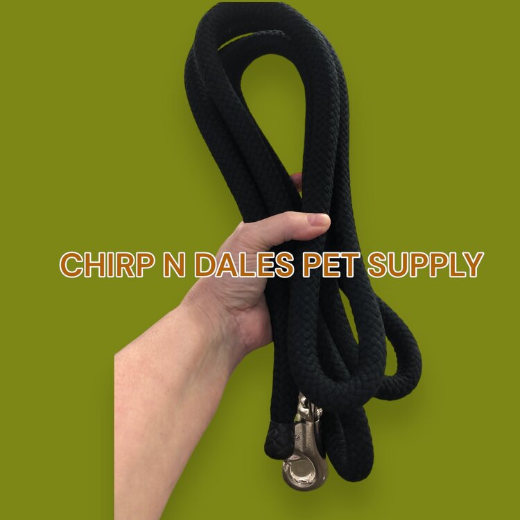 Kane LEAD BRAID COTTON/BULL SNAP 3/4" X 10F