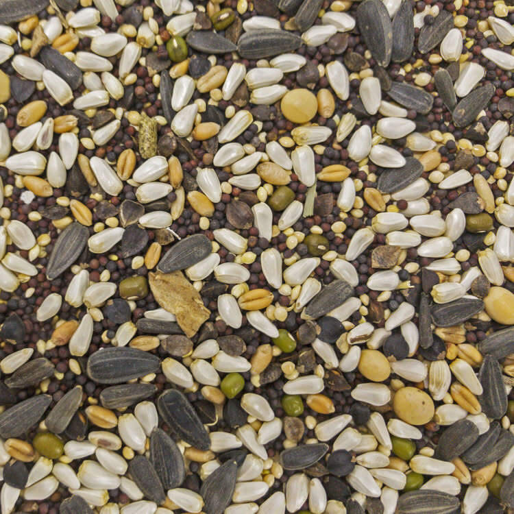 HIGGINS PREMIUM Sunburst  Soak+Sprout 3oz     for Small Birds