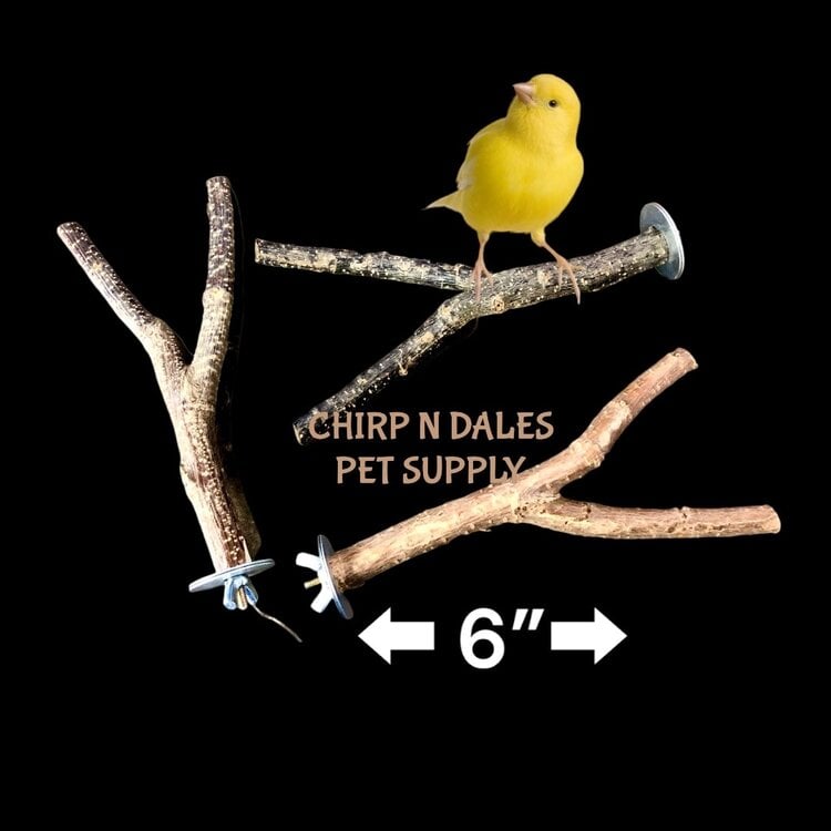 Bonkers Multi Branch Small Bird Wooden Perch 6”