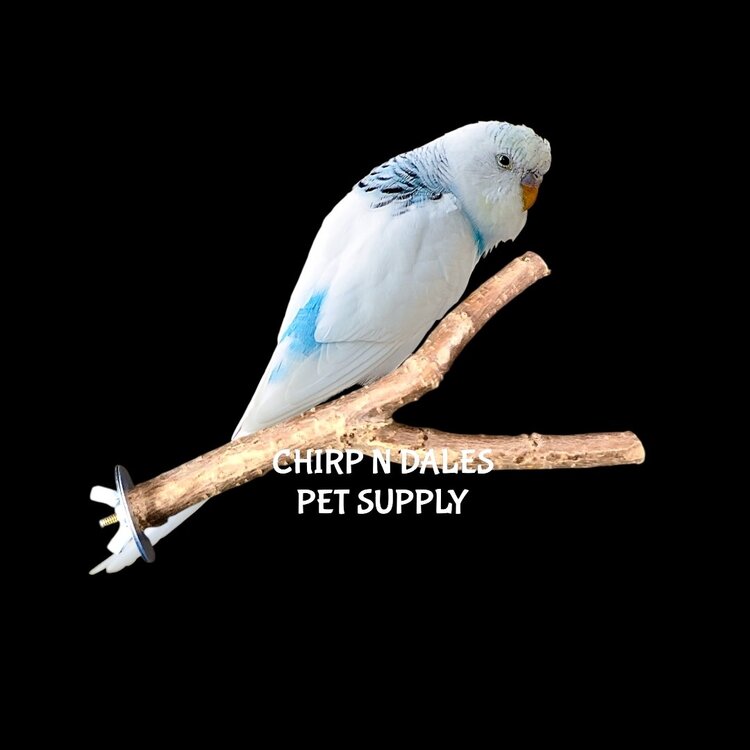 Bonkers Multi Branch Small Bird Wooden Perch 6”