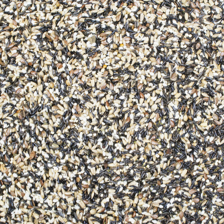 HIGGINS PREMIUM Sunburst Song Food 3oz (Canary)