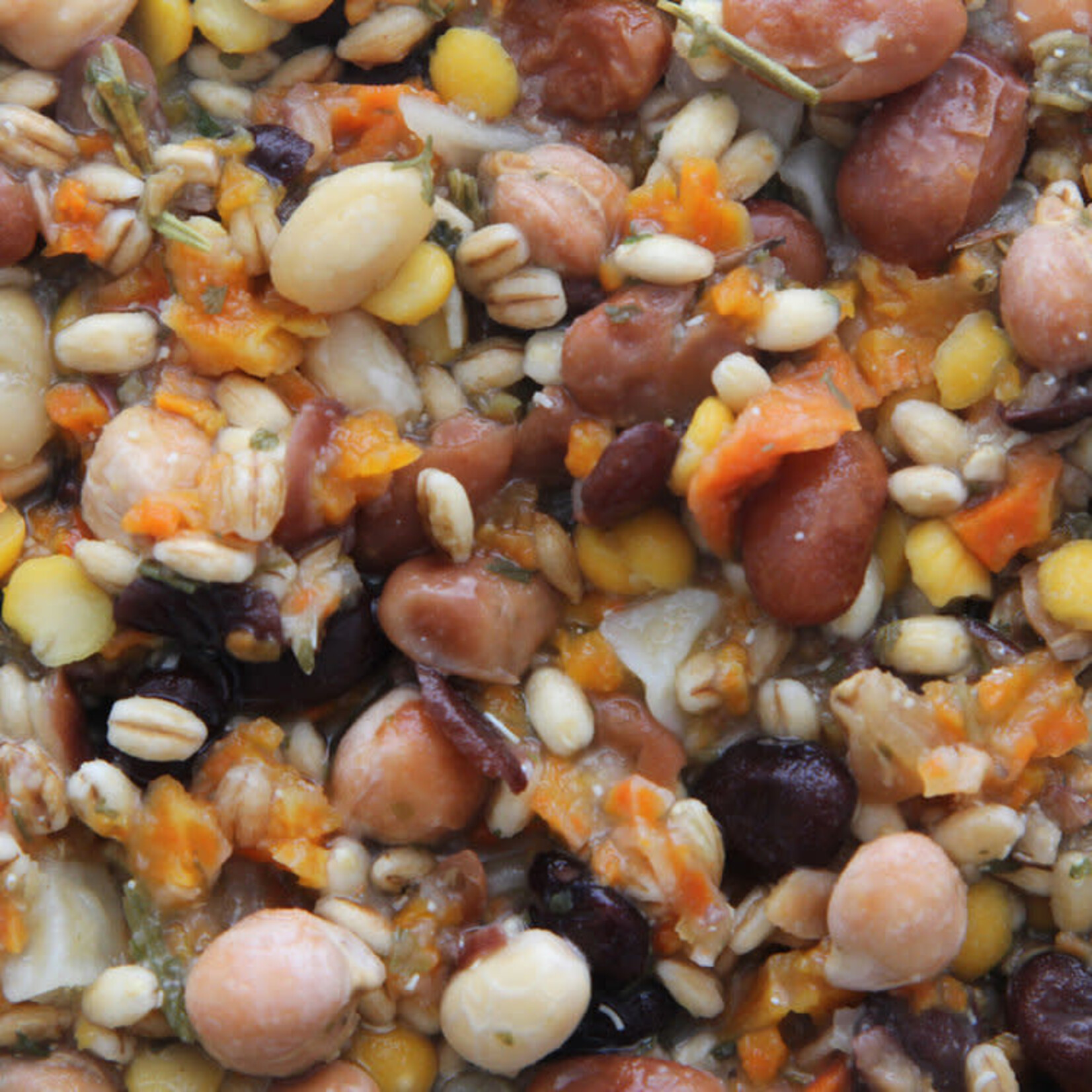 HIGGINS PREMIUM Higgins Inca Bean Salad 2oz