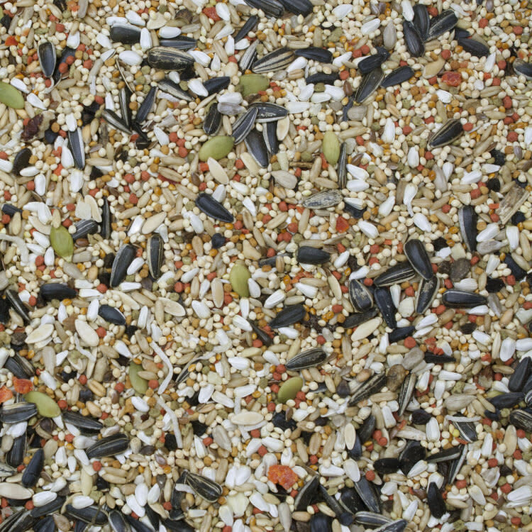 HIGGINS PREMIUM SUNBURST GOURMET BLEND Cockatiel 3lb