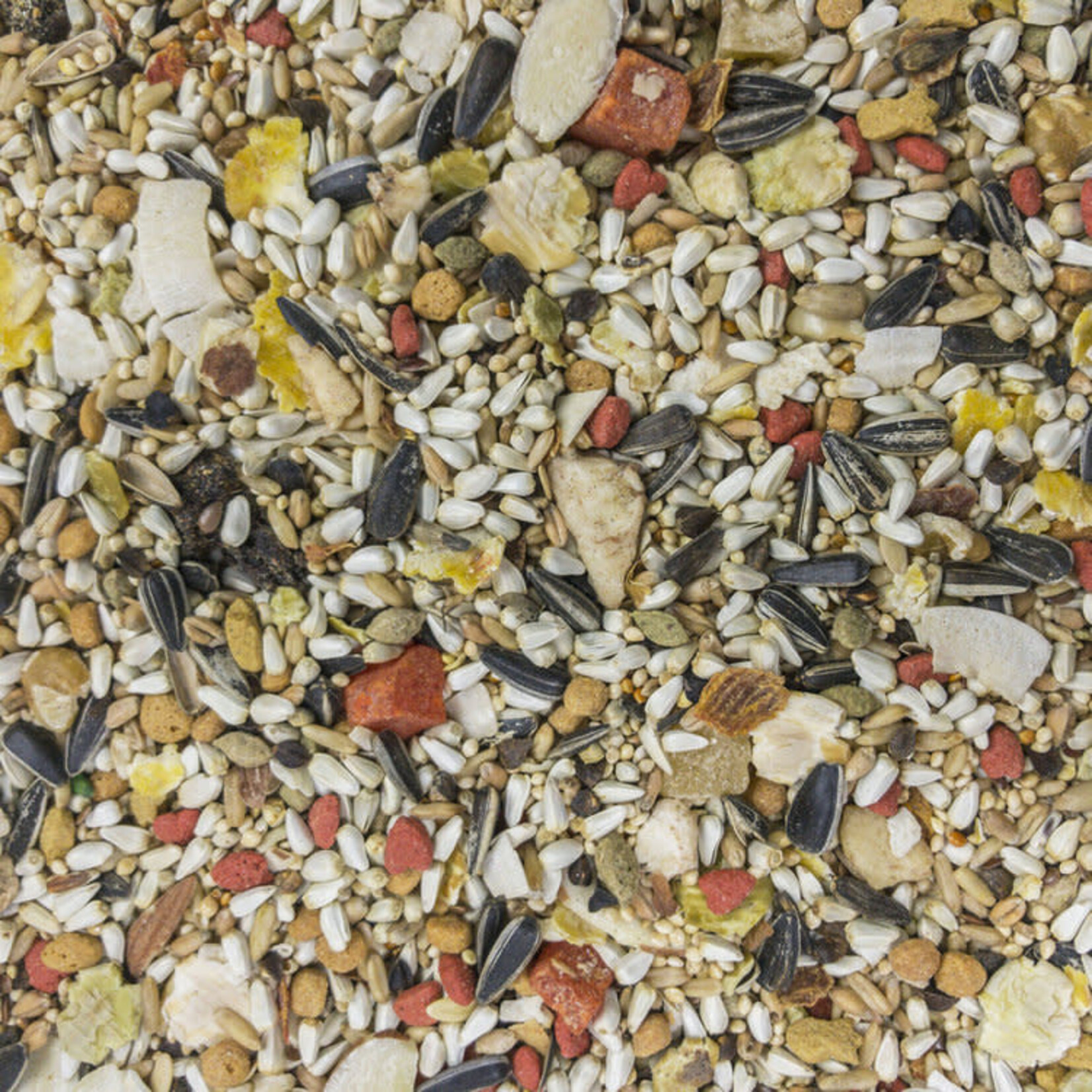 HIGGINS PREMIUM Sunburst Gourmet Blend Conure 3lb