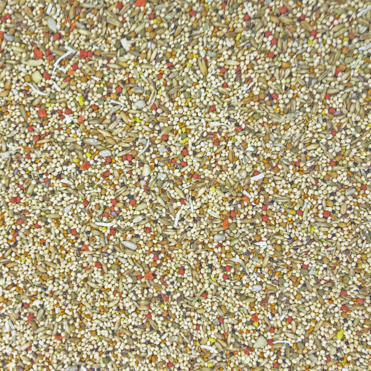 HIGGINS PREMIUM Sunburst Gourmet Blend  Parakeet 2lb