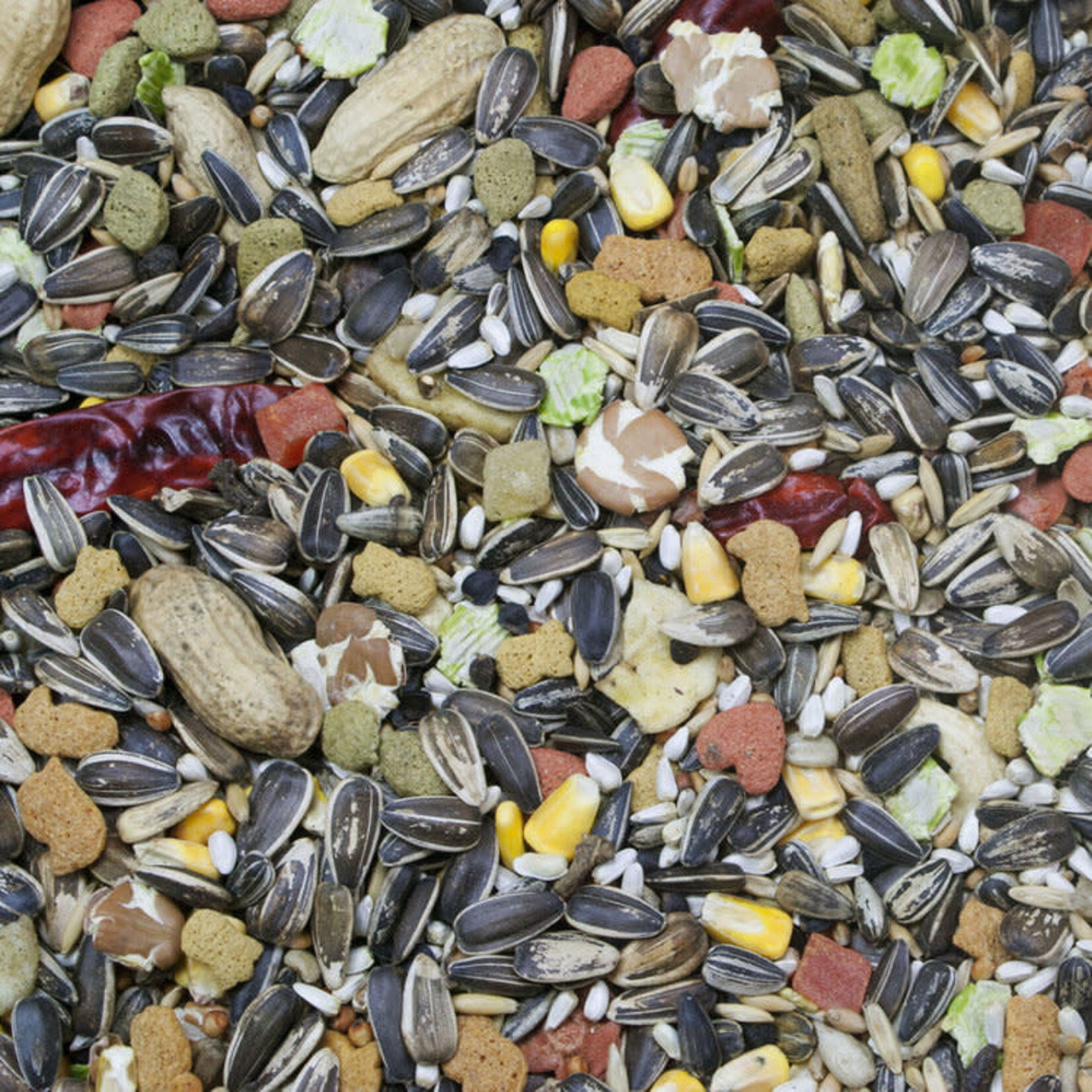 HIGGINS PREMIUM Higgins Vita Seed Parrot 3lb