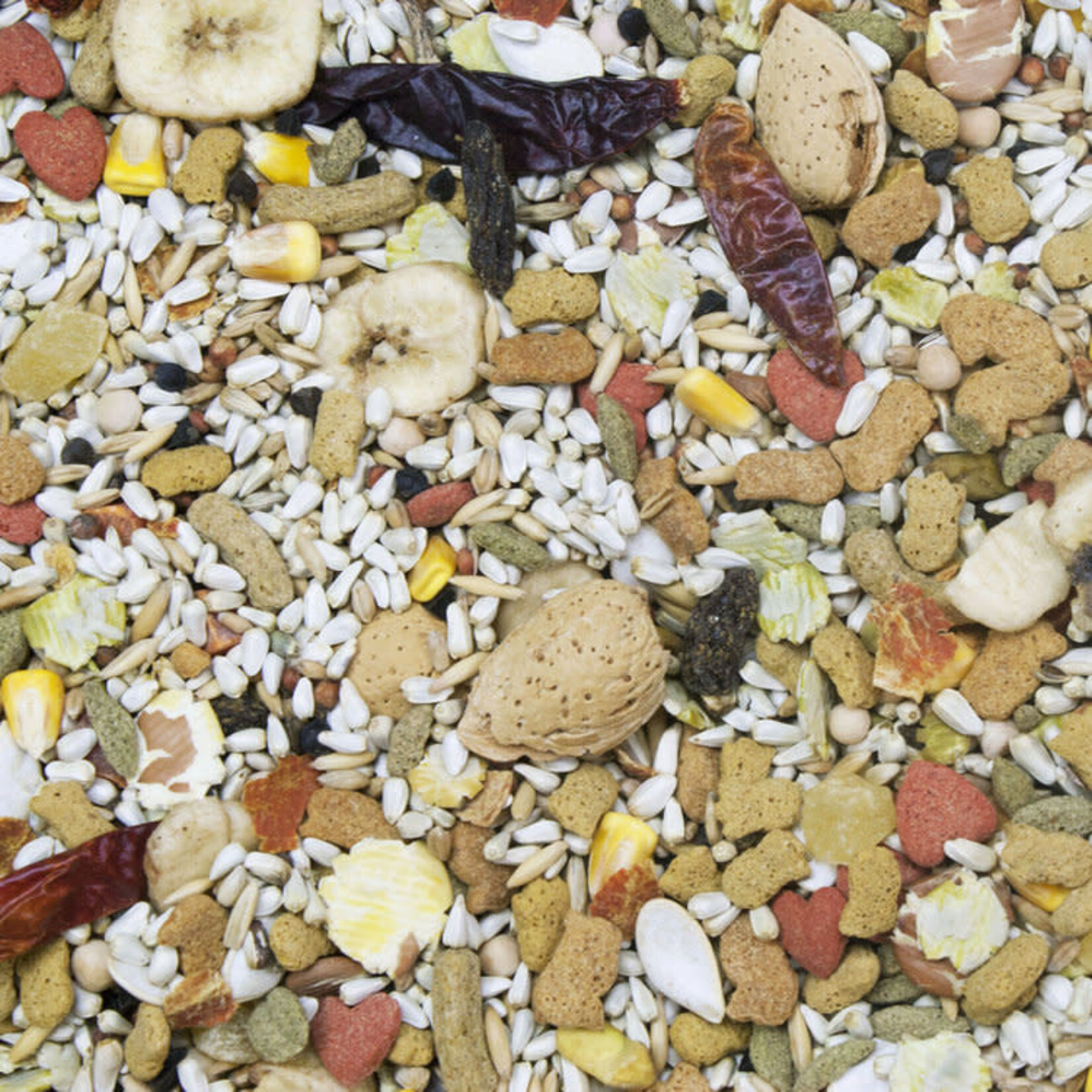 HIGGINS PREMIUM Higgins Vita Seed California Blend Parrot 5lb