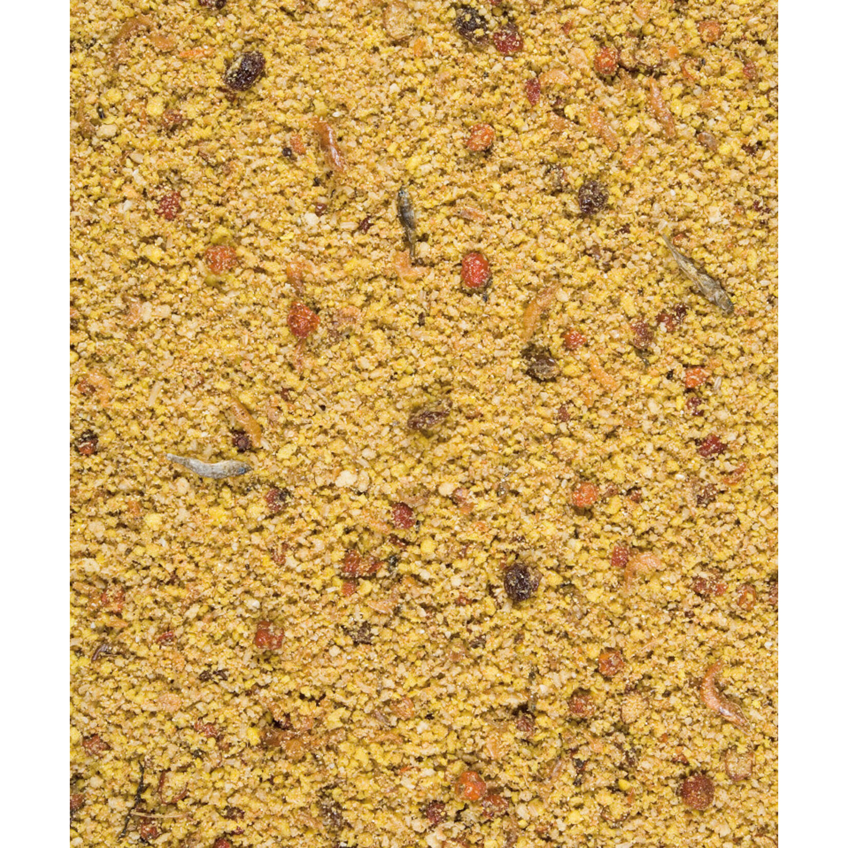 Versele-Laga Versele - Laga - ORLUX GOLD PATEE BIG PARAKEETS & PARROTS 1 kg