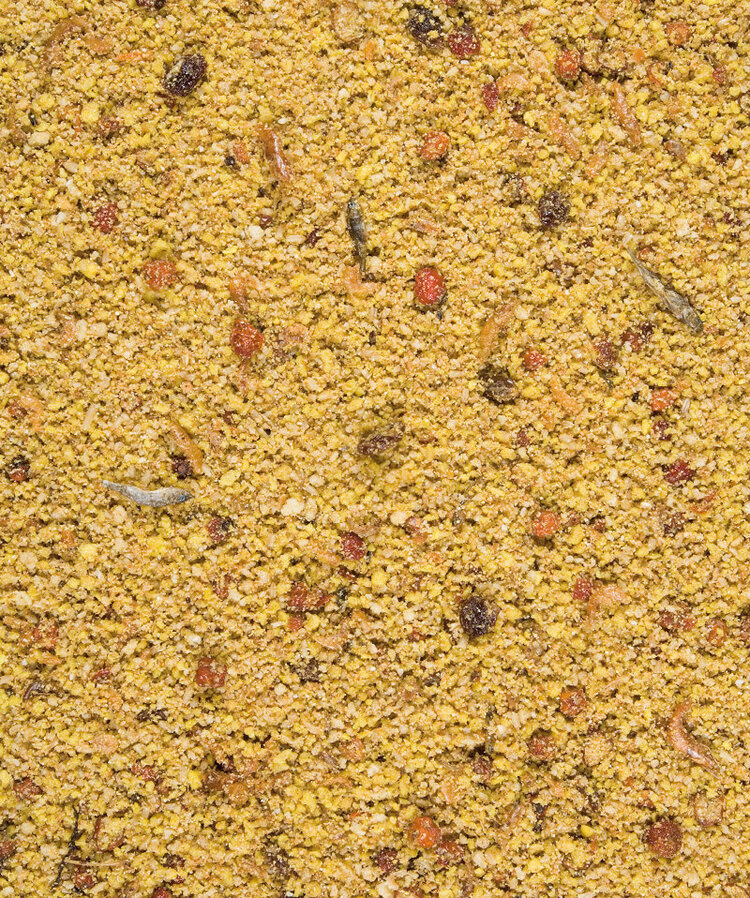 Versele-Laga Versele - Laga - ORLUX GOLD PATEE BIG PARAKEETS & PARROTS 1 kg