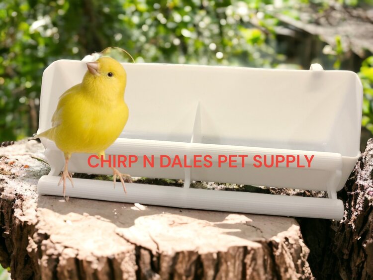 Glitter Pets Plastic Trough Feeder Divided 8"x 2"