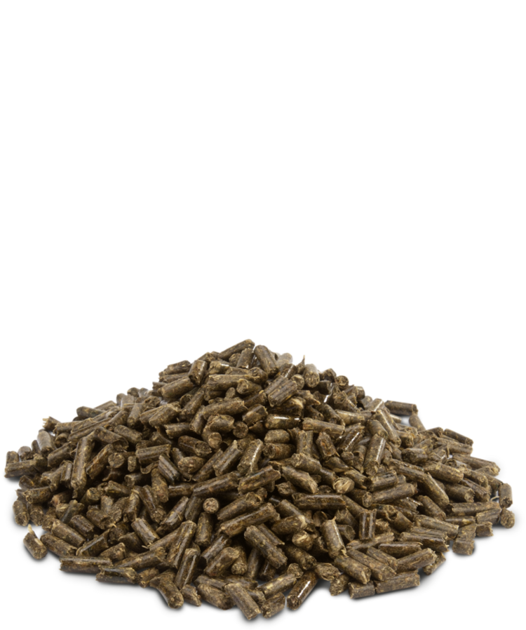 Versele-Laga Versele-Laga - CRISPY MUESLI GUINEA PIG 2.75kg