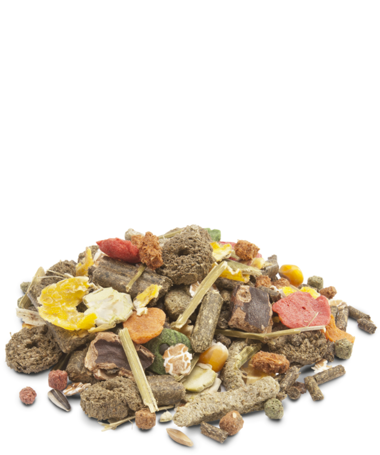 Versele-Laga Versele-Laga - CRISPY MUESLI RABBIT 2.75kg